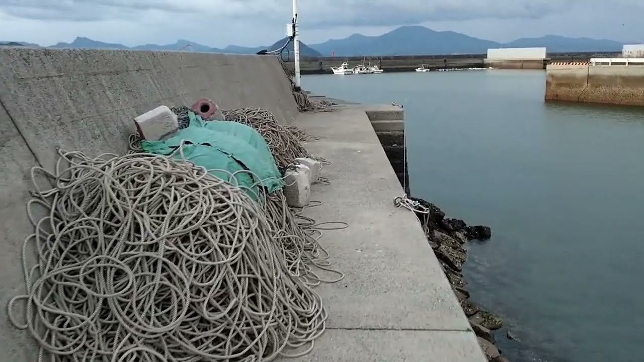 海辺の散歩