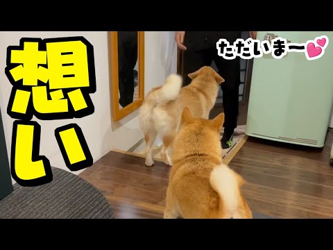 こまめを失って間もなく1年…家族それぞれの想いは…