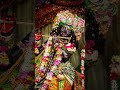 Shri Banke Bihari. 🙏🌹#bakebihari
