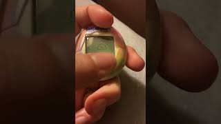 Exclusive How to discipline your Tamagotchi Dev Index