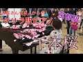 【京都駅ピアノ】お客さん０人からの千本桜🌸