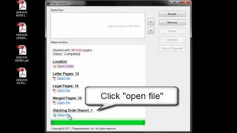Page Separator Professional