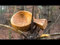 Carving a Kuksa in the Forest - Bushcraft, Axecraft, Buck Saw, Bacon Stew Dinner