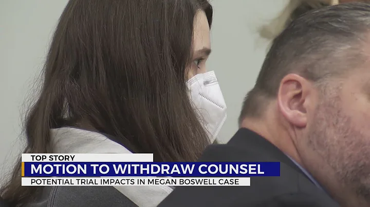 Megan Boswell case: Defense attorney explains moti...