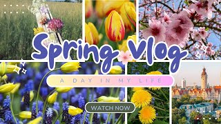 Spring Vibes In Saxony Exploring Chemnitz, Leipzig & Mittweida