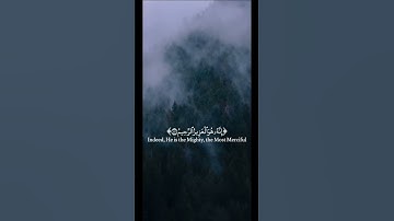 قرآن كريم إن شجرت الزقوم طعام الأثيم
