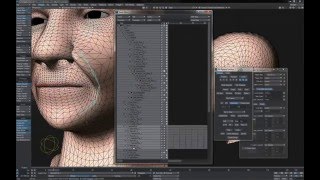 08 Simple Face NasLab (Clip)