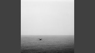Ocean Beyond the Waves
