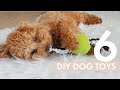 6 Easy DIY Dog Toys your dog will love! | Zuko Toy Poodle