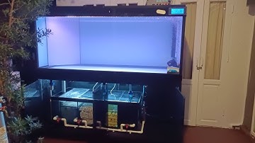 โก๋ลิง สาย 4 - งานขนย้ายตู้ปลา 72 30 30 ภายในบ้านพร้อมทำระบบ O4FS จัดอุปกรณ์ครบเติมน้ำเต็มพร้อมลงปลา