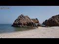        فيديو قصير عن شواطي عمان