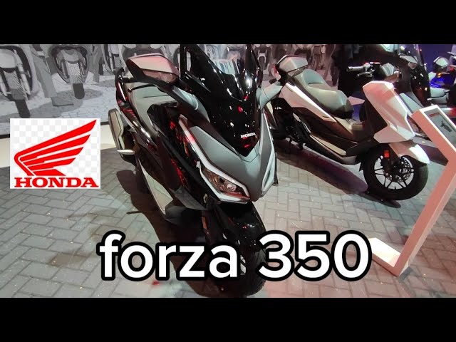 All-New 2024 Honda Forza 350 is getting crazier with the latest advanced  features and cheaper price 