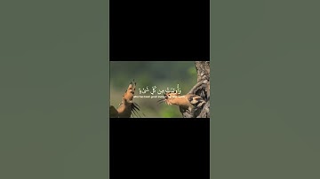 تلاوه جميله للشيخ أ.د.#ياسر_الدوسري #تلاوة_هادئة #تلاوة_خاشعة #quran #اكسبلور #قصص #القرآن #سبحانك