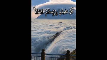 تلاوات خاشعة ماهر المعيقلي صوت جميل جدا صوت يريح الأعصاب تلاوة هادئة