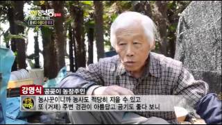 [HIT] 진달래에 물든 거제의 대표 산, 대금산! 생생정보통 플러스 20140417