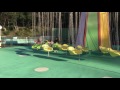 ほしチャンネル  みさき公園    空中ブランコ の動画、YouTube動画。