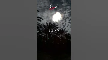 سلم بابايا ايمن غزال 