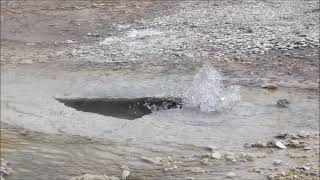 Bottlecap Geyser (2015-2017) (HD)