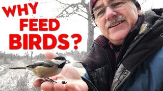 Why Winter Bird Feeding is SO IMPORTANT...NOT what YOU THINK!