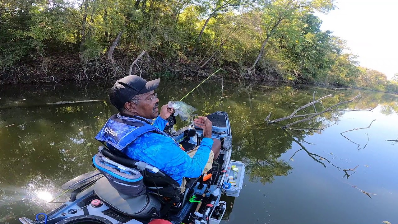 Creeks, brush pile and standing timber Crappie fishing tips YouTube