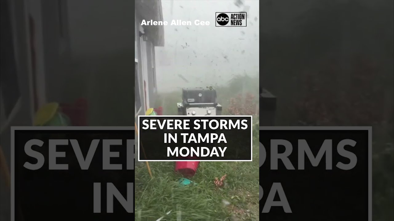 Hail and high winds from fast moving storm in Tampa. #florida #weather