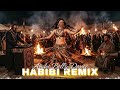 Darbuka Tech House Mix 2026 Arabic Tribal Groove Deep Bass DJ Energy 
