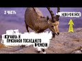 Израиль. Признаки последнего времени. Невероятное. Часть 2