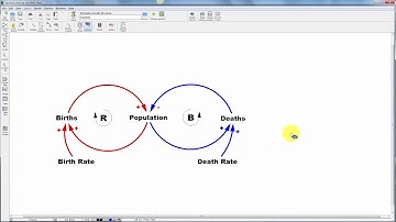 Vensim Causal Loop Diagramming