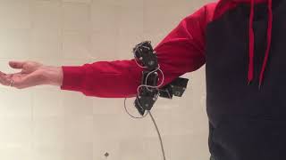 Famous Snake robot climbing Profile