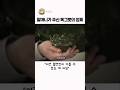 할머니가 물려주신 옥그릇의 소름돋는 정체