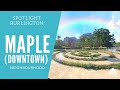 Living in the Maple Neighbourhood (Downtown) -- Burlington Ontario