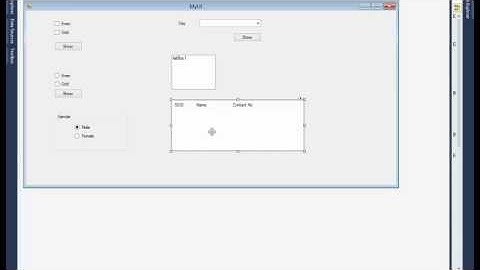 How to use List view item in visual basic c# .net framework