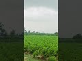 📷🍃🏞️📈