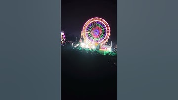 koi Jaye Jo Vrindavan by Nikhil Verma #shortvideo #shorts #shortfeed #song #viralvideos