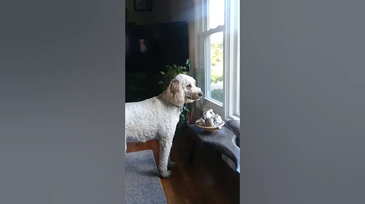 Winnie getting excited about seeing Aeralyn again