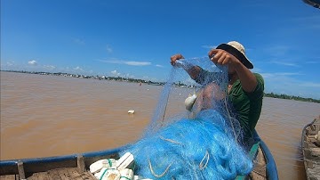 Vàm Nao ký sự - tập 1| Cùng Lão ngư 1 ngày lênh đênh sông Vàm Nao bắt cá Mè Dinh