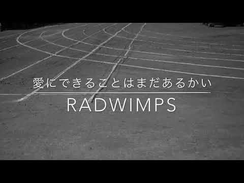 【愛にできることはまだあるかい/RADWIMPS】ギター弾き語り。リトルマーチン