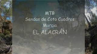 MTB - Sendas de Coto Cuadros - Murcia: EL ALACRÁN
