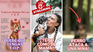 ¿Padeces T.O.P? , tu perro te ve como su MAMÁ, NUEVO ATAQUE de perro ¿por qué?