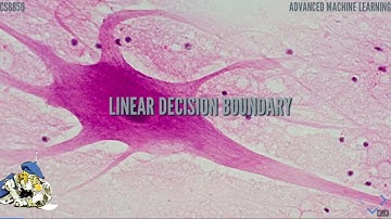 CS8850: Linear Decision Boundary