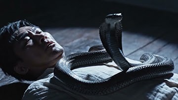 Snake Attacks Man While Sleeping