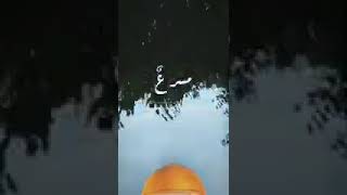 شـهادة الإباء   مقبل نحو السماء _ بلال الاحمد - نجوم غرباء للفن الاسلامي