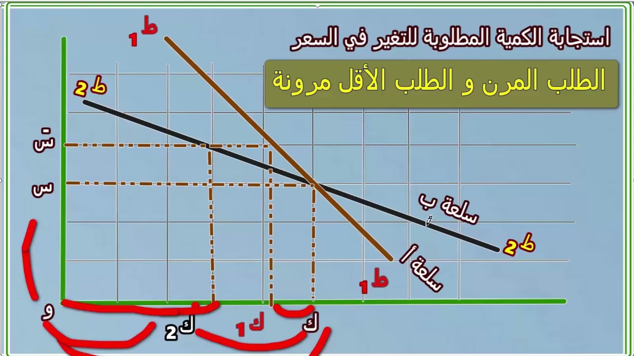 مرونة الطلب | مبادئ إقتصاد أولى كلية التجارة جامعة الأزهر بنات