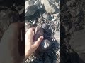#coal #mining #