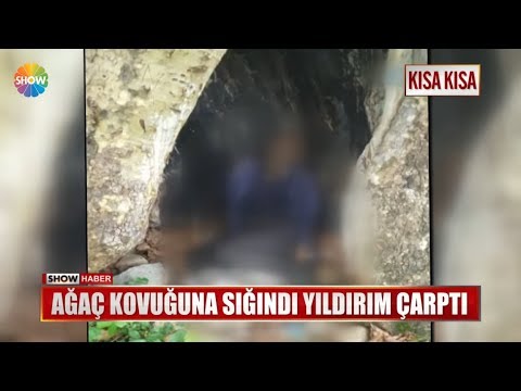 Ağaç Kovuğuna Sığındı Yıldırım çarptı