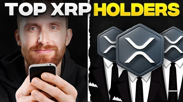 Who owns the most XRP in 2025? The RICH LIST