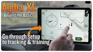 Alpha XL | Beyond the Basics