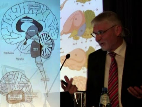 The brain (1) | How unique is man? (5)