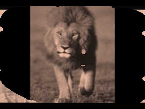 Tommy McCook & The Upsetters ~ Bad Walking