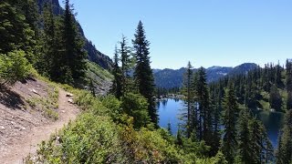 Black Bear Sighting PCT 2
